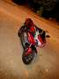 Ducati 1198 Testa Stretta Evoluzione Rood - thumbnail 1