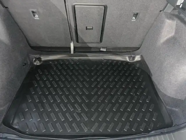Cupra Ateca view 12