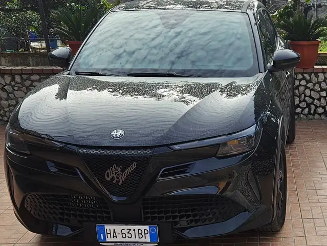 Alfa Romeo Junior
