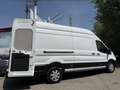 Ford Transit 350 125kW L4H3 Van Trend RWD Blanco - thumbnail 18