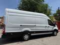 Ford Transit 350 125kW L4H3 Van Trend RWD Blanco - thumbnail 15