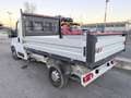 Citroen Jumper 35 L2 140 CV Cassone RIBALTABILE Weiß - thumbnail 10