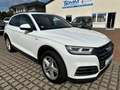 Audi Q5 55 TFSI e quattro sport S-Line / LED / AHK Wit - thumbnail 16