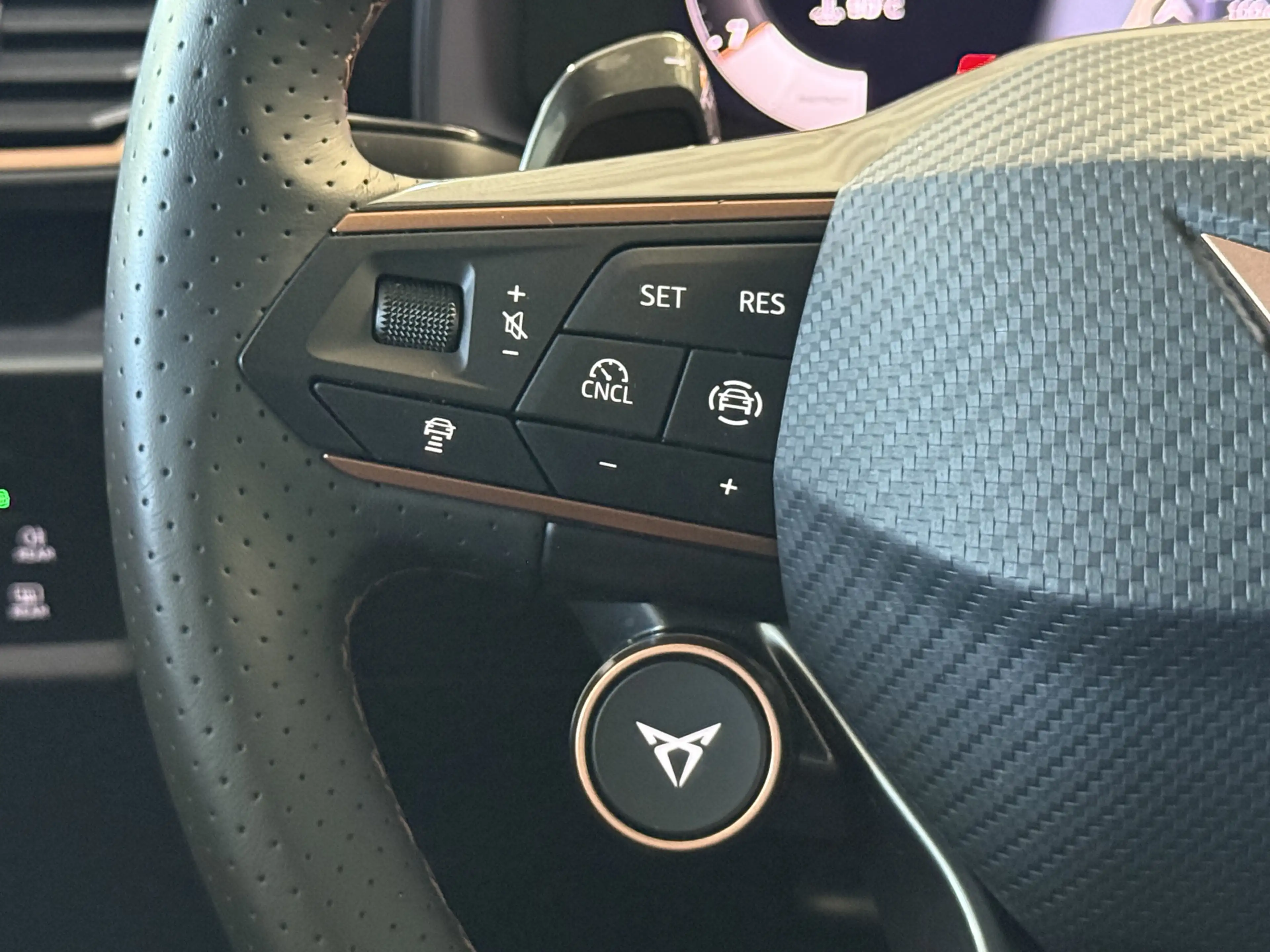 CUPRA Formentor VZ - Matrix Pano Sennheiser Leder AHK — photo 18