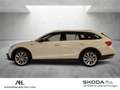 Skoda Octavia Combi 2.0 TDI Scout 4x4 DSG LED Navi ACC Standhzg. Weiß - thumbnail 2