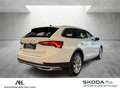 Skoda Octavia Combi 2.0 TDI Scout 4x4 DSG LED Navi ACC Standhzg. Weiß - thumbnail 6