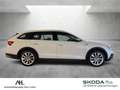 Skoda Octavia Combi 2.0 TDI Scout 4x4 DSG LED Navi ACC Standhzg. Weiß - thumbnail 7