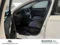 Skoda Octavia Combi 2.0 TDI Scout 4x4 DSG LED Navi ACC Standhzg. Weiß - thumbnail 17