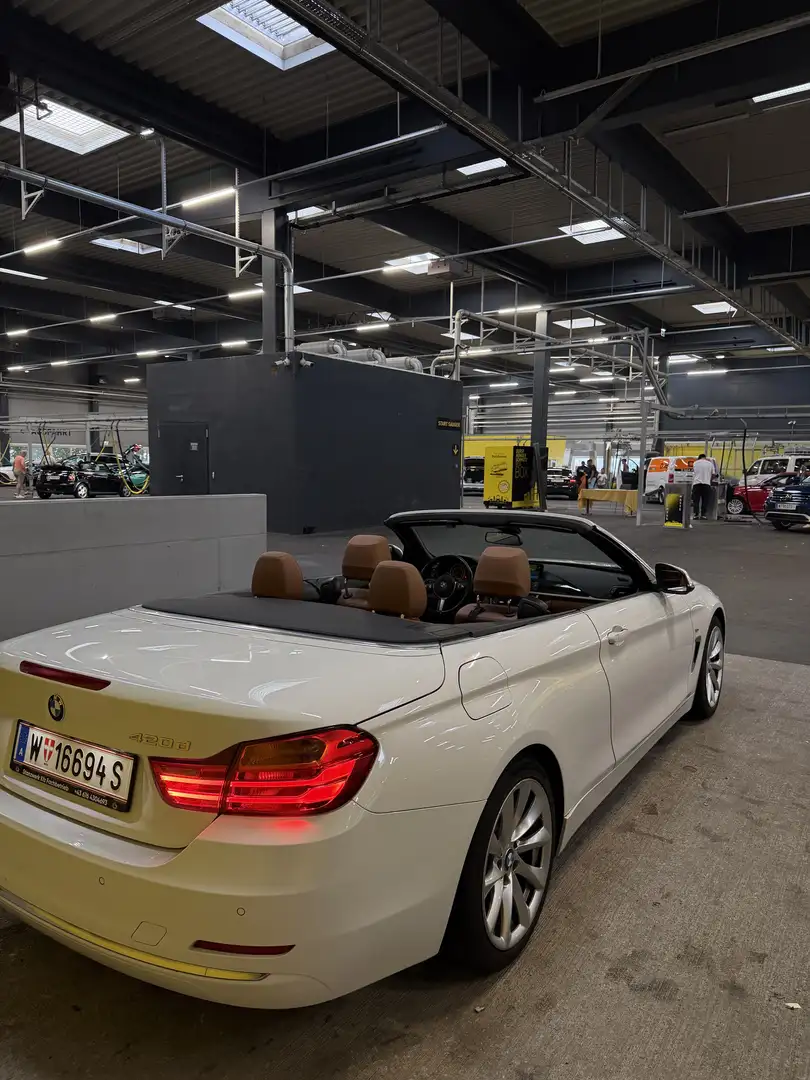 BMW 420 420d Cabrio Luxury Line Aut. - 2