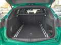 Alfa Romeo Stelvio 2.9 Bi-Turbo V6 510 CV AT8 Quadrifoglio Q4 PACK A Verde - thumbnail 32