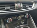 Alfa Romeo Stelvio 2.9 Bi-Turbo V6 510 CV AT8 Quadrifoglio Q4 PACK A Verde - thumbnail 21