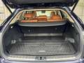Lexus RX 450h RX Hybrid Executive Blu/Azzurro - thumbnail 14