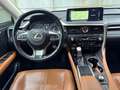 Lexus RX 450h RX Hybrid Executive Blu/Azzurro - thumbnail 8