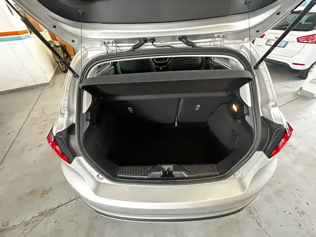 Ford Fiesta view 16