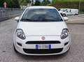 Fiat Punto Van 5 porte 4 posti multijet 95cv Wit - thumbnail 3