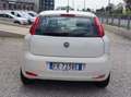 Fiat Punto Van 5 porte 4 posti multijet 95cv Wit - thumbnail 7
