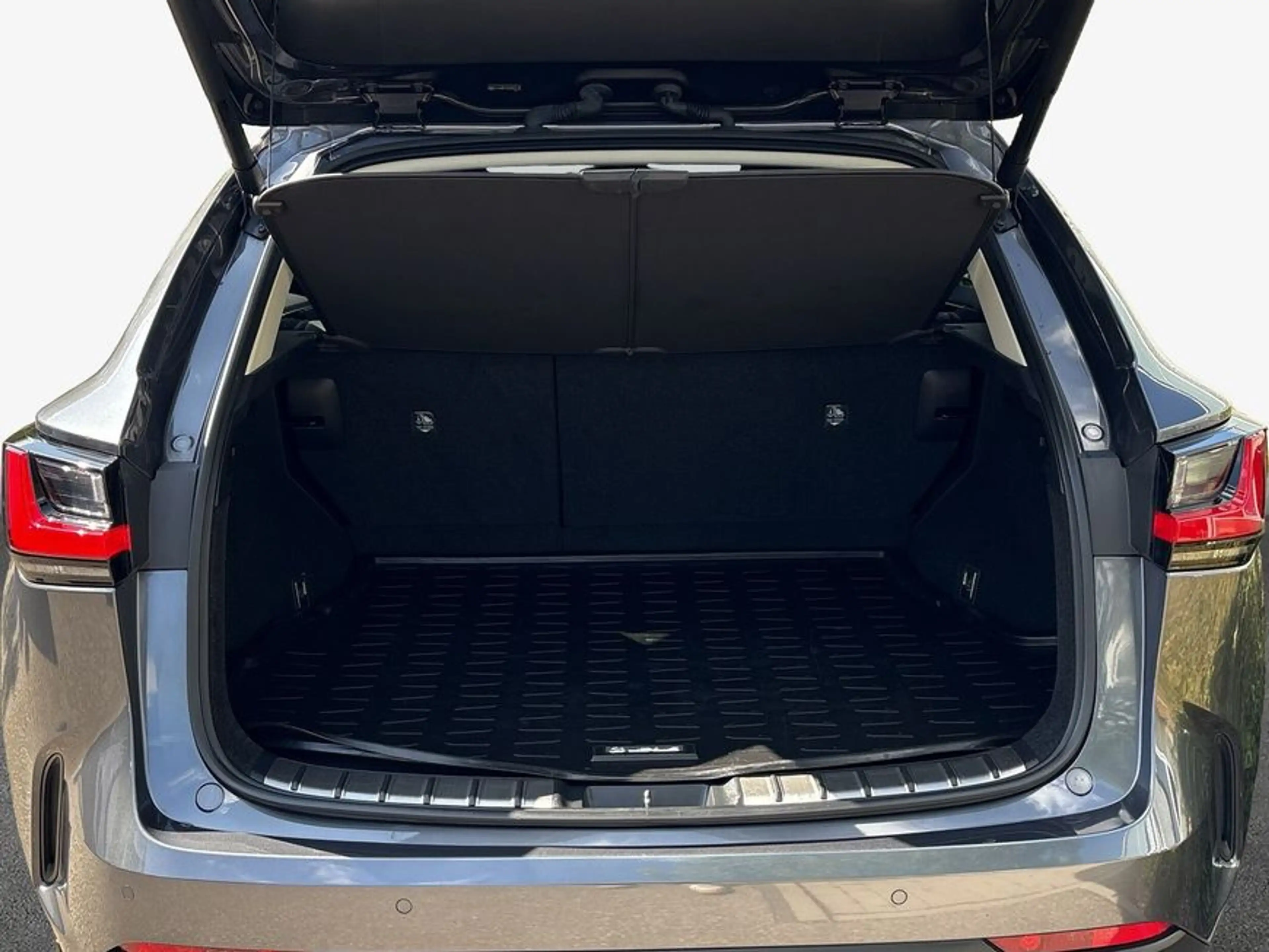 Lexus NX 450h+ h+ Plug-in E-FOUR Business Connect — photo 9