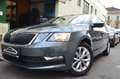 Skoda Octavia Ambition CNG 1.5 TSI Grau - thumbnail 1