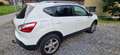 Nissan Qashqai I-Way Weiß - thumbnail 5