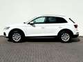 Audi Q5 2.0 TDI  quattro*BiXenon*Navi*PDC*SHZ* Blanco - thumbnail 8