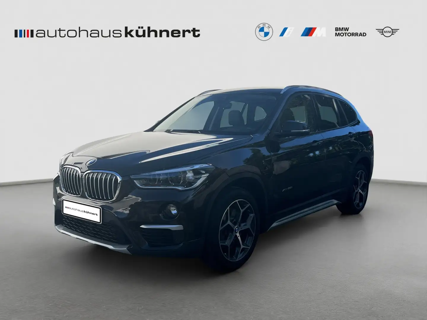 BMW X1 xDrive25i xLine ACC LED SpurAss HUD ParkAss RFK Marrón - 1