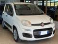 Fiat Panda New 1.3 M.JET 95 cv. EASY Bianco - thumbnail 2