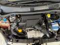 Fiat Panda New 1.3 M.JET 95 cv. EASY Bianco - thumbnail 7