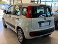 Fiat Panda New 1.3 M.JET 95 cv. EASY Bianco - thumbnail 4