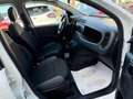 Fiat Panda New 1.3 M.JET 95 cv. EASY Bianco - thumbnail 15