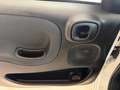 Fiat Panda New 1.3 M.JET 95 cv. EASY Bianco - thumbnail 8