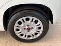 Fiat Panda New 1.3 M.JET 95 cv. EASY Bianco - thumbnail 6