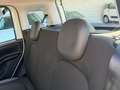 Fiat Panda New 1.3 M.JET 95 cv. EASY Bianco - thumbnail 14
