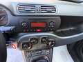 Fiat Panda New 1.3 M.JET 95 cv. EASY Bianco - thumbnail 10