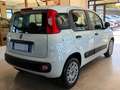 Fiat Panda New 1.3 M.JET 95 cv. EASY Bianco - thumbnail 5