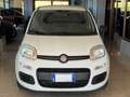 Fiat Panda New 1.3 M.JET 95 cv. EASY Bianco - thumbnail 3