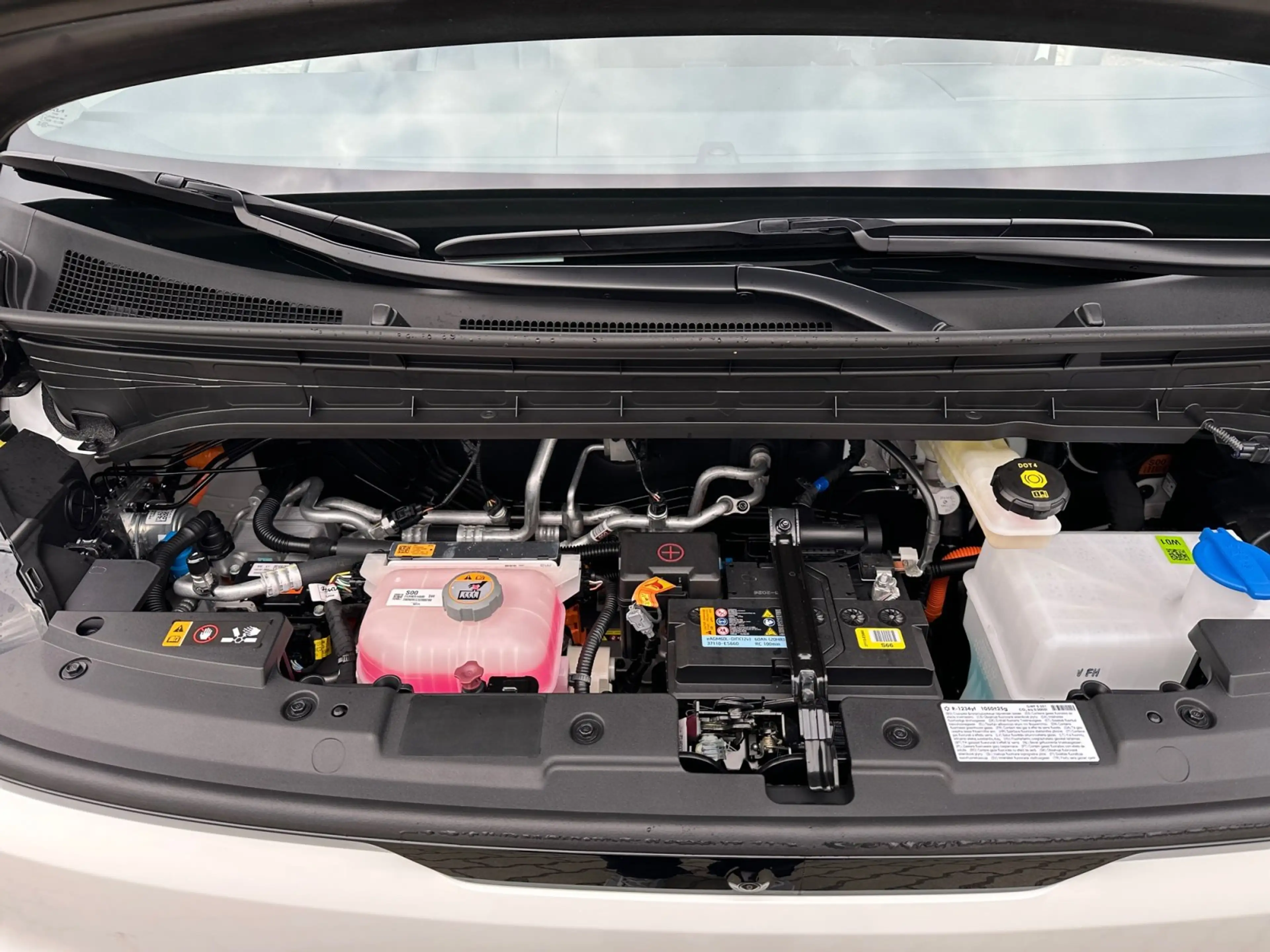Kia PV5 Passenger 71,2 kWh Elite Sofort Verfügbar — photo 13