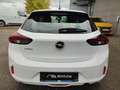 Opel Corsa F Edition,SHZ,LHZ,Klima,Tempomat,PDC,Multifunktion Wit - thumbnail 5