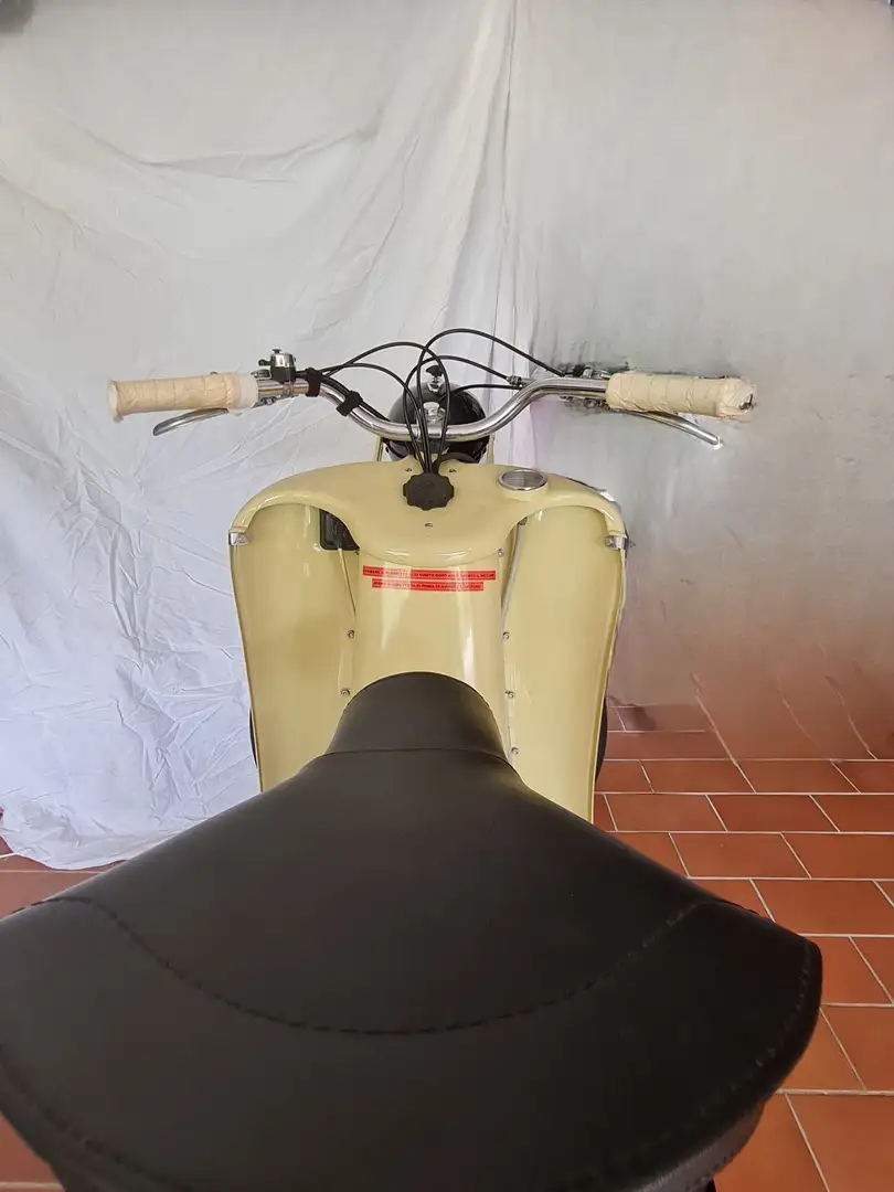 Moto Guzzi Galletto 192 Jaune - 2