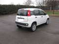 Fiat Panda natural power Easy 80cv anche per neopatentati Blanc - thumbnail 5