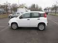 Fiat Panda natural power Easy 80cv anche per neopatentati Blanc - thumbnail 8