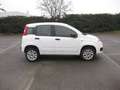 Fiat Panda natural power Easy 80cv anche per neopatentati Blanc - thumbnail 4