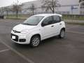 Fiat Panda natural power Easy 80cv anche per neopatentati Blanc - thumbnail 2