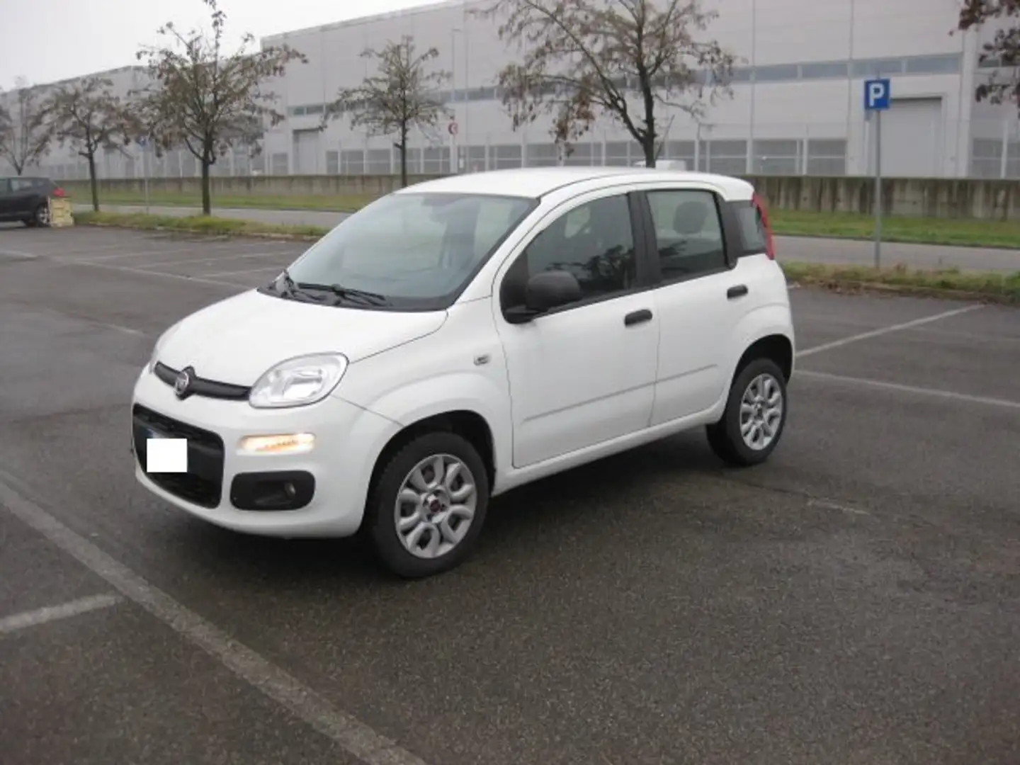 Fiat Panda natural power Easy 80cv anche per neopatentati Blanc - 2