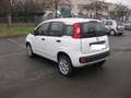 Fiat Panda natural power Easy 80cv anche per neopatentati Blanc - thumbnail 7
