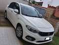 Fiat Tipo Tipo 4 porte II 2016 4p 1.4 Opening Edition 95cv Bianco - thumbnail 1