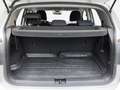 Volkswagen T-Cross 1.0 TSI Advance DSG7 81kW Blanco - thumbnail 13