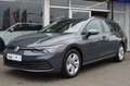 Volkswagen Golf VIII Variant (CG5)(09.2020-) Golf Variant Grau - thumbnail 1