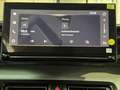 Citroen C3 Aircross Elettrica 83kw (113cv) - YOU Pac Grau - thumbnail 17