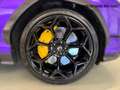 Lamborghini Urus PERFORMANTE - COLORE ADP - IVA ESPOSTA Mauve - thumbnail 10