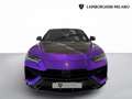 Lamborghini Urus PERFORMANTE - COLORE ADP - IVA ESPOSTA Mauve - thumbnail 2